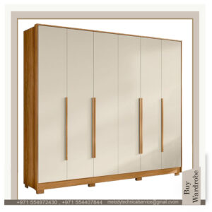 Classic modern Wardrobe design